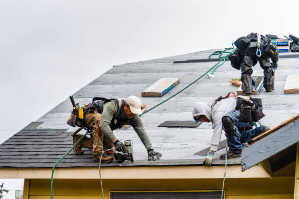 Professional Gutter Installation technician working in Royston, GA